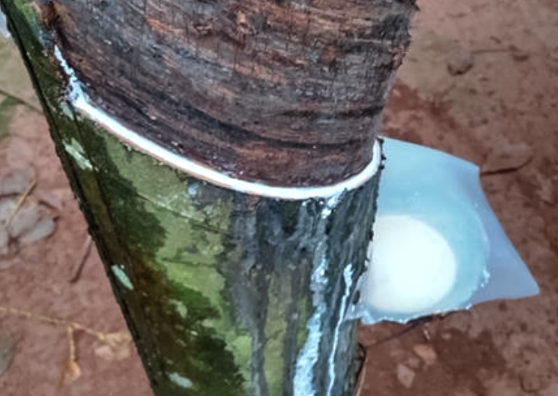 私たちについて イメージ画像